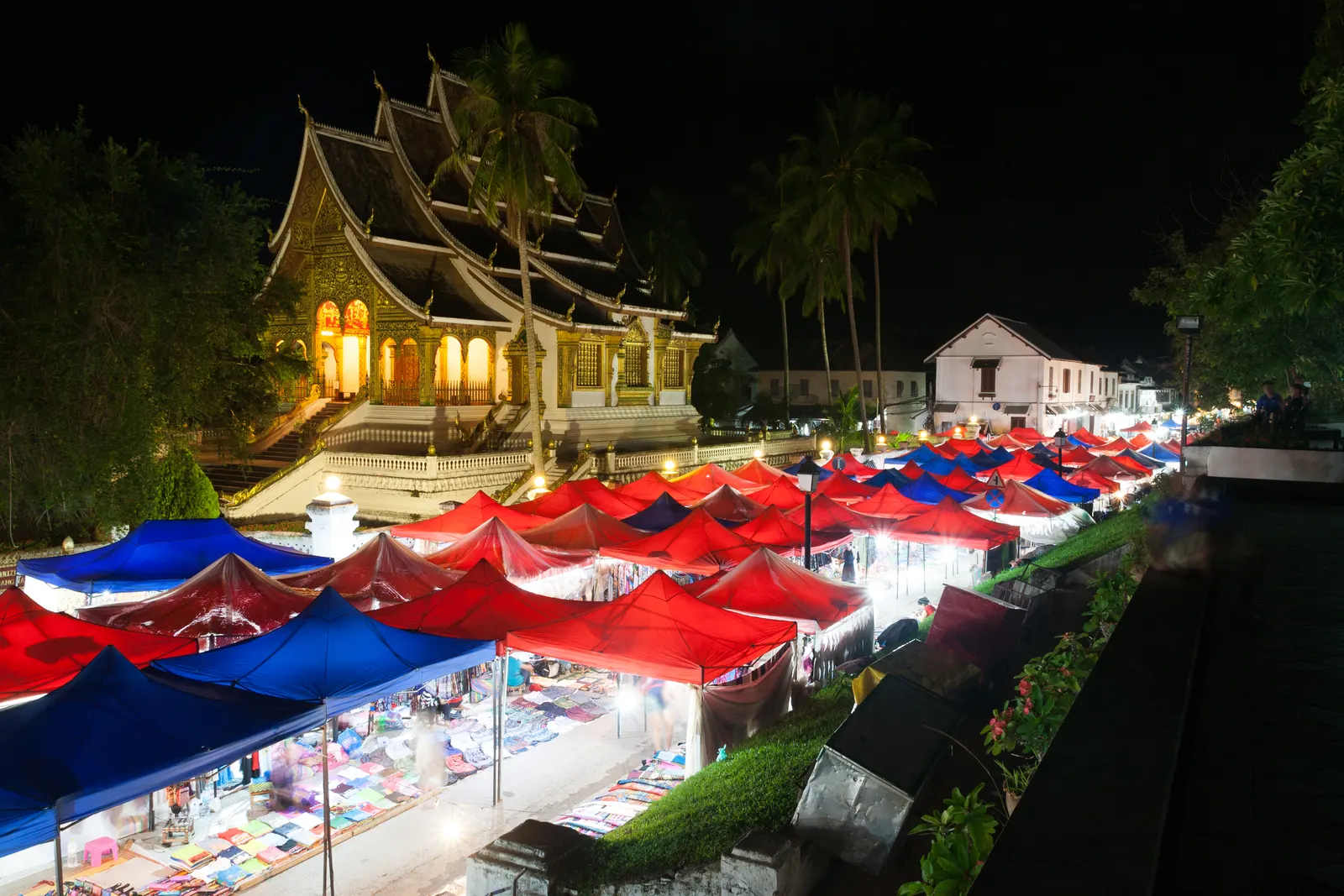 ຮູບຈາກ ດອກໄມ້ ທົວ ຫຼວງພະບາງ