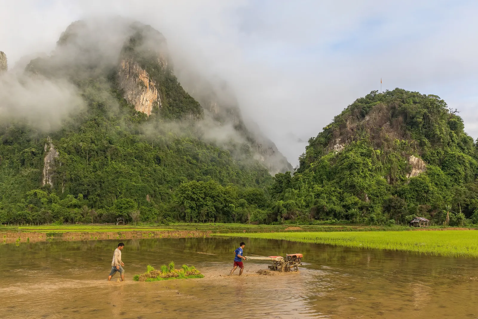 ຮູບຈາກ ຟາມເຂົ້າອິນຊີ ທົ່ງໄຊ
